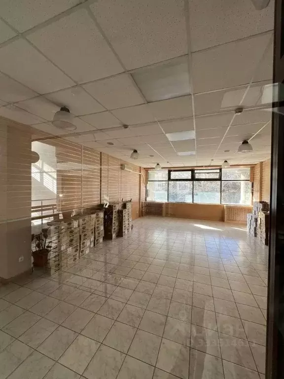 Офис в Севастополь ул. Очаковцев, 19 (90 м) - Фото 1