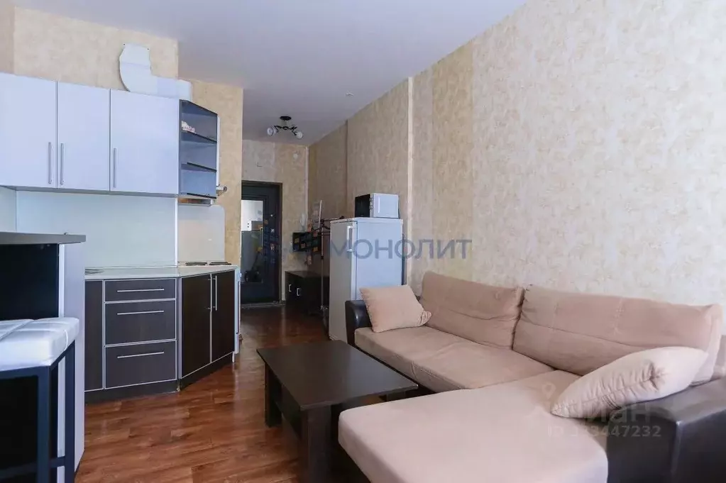 Студия Нижегородская область, Нижний Новгород городской округ, д. ... - Фото 1