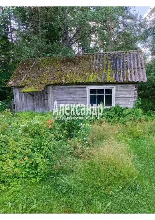 Дом в посёлок Петровское, Сосновая улица (80 м) - Фото 2