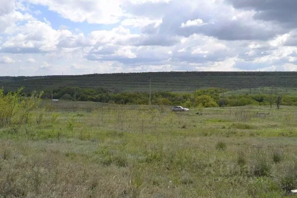 Участок в Волгоградская область, Городищенский район, Царицынское ... - Фото 1