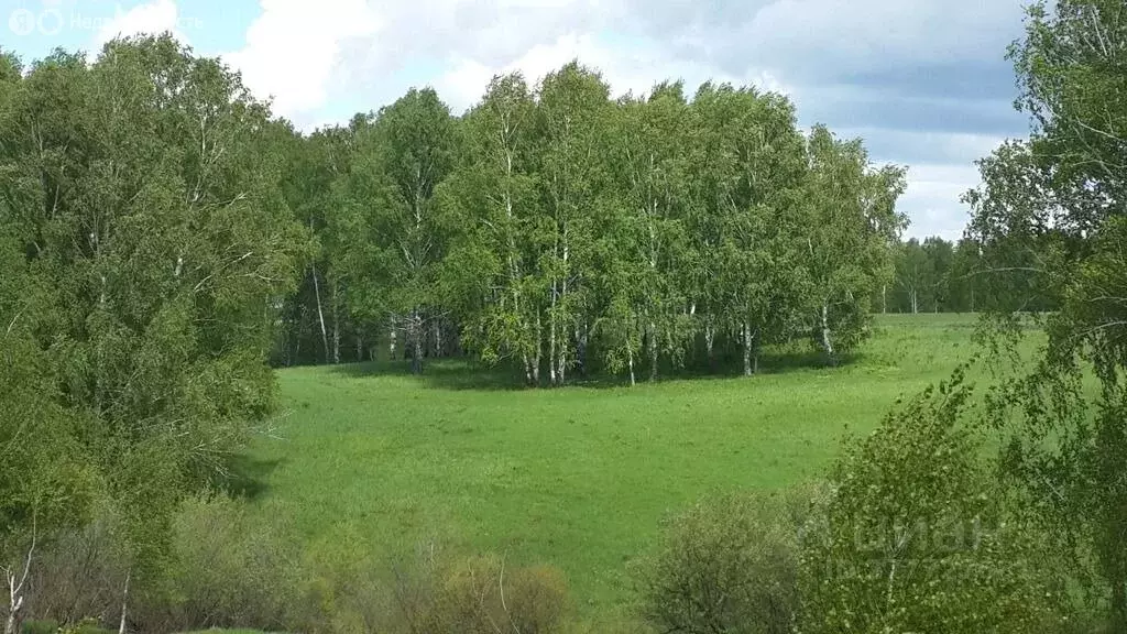 Участок в Улыбинский сельсовет (50 м) - Фото 1