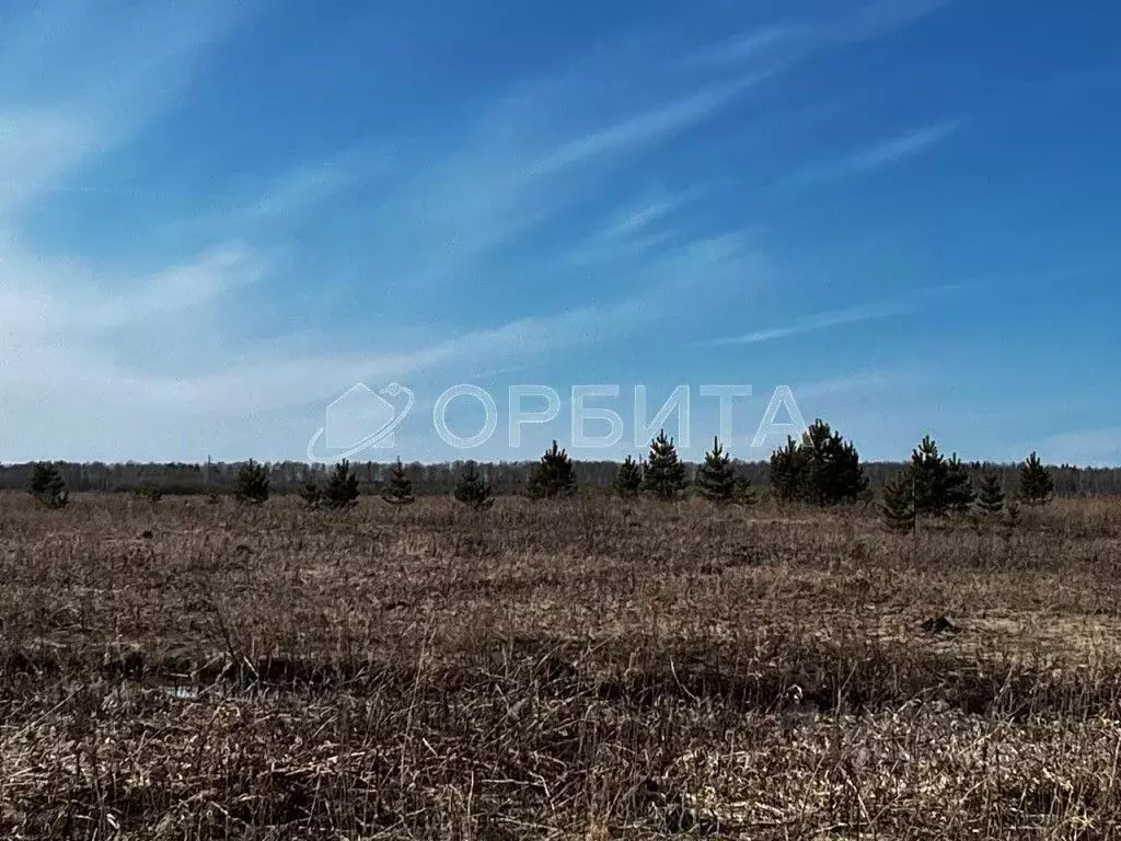 Участок в Тюменская область, Тюменский район, д. Елань 14 (9.07 сот.) - Фото 0