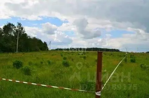 Участок в Алтайский край, Тальменский район, Тальменка рп Березовая ... - Фото 0