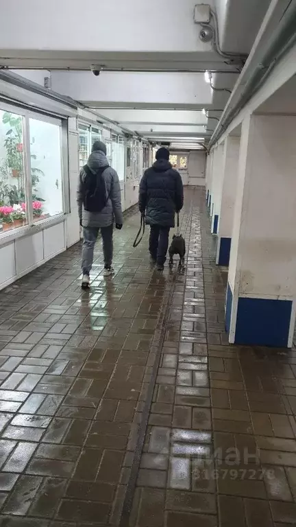 Торговая площадь в Татарстан, Набережные Челны 32-й комплекс,  (18 м) - Фото 2