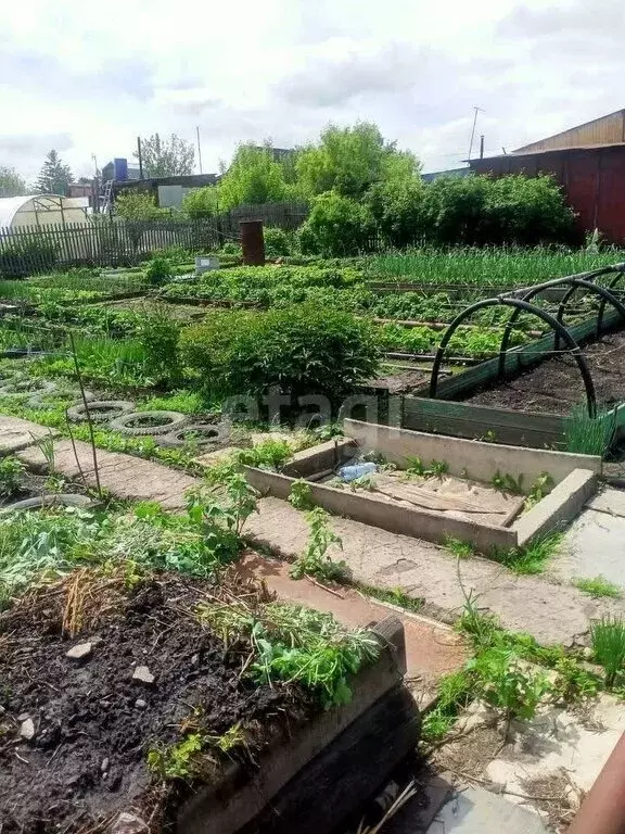 Участок в Новосибирск, садовое товарищество Садовод-ССМ (6.3 м) - Фото 0