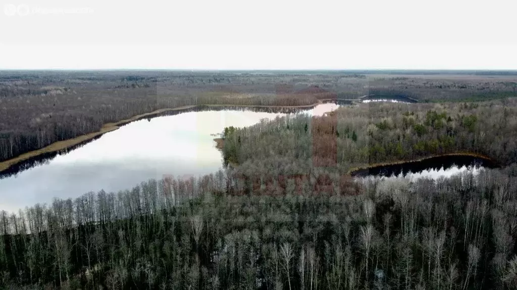 Участок в Осьминское сельское поселение, деревня Жог (10 м) - Фото 1