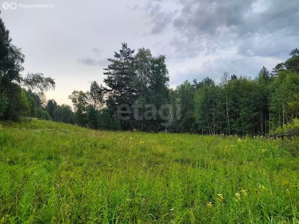 Участок в Иркутский муниципальный округ, СНТ Чайка (12 м) - Фото 1