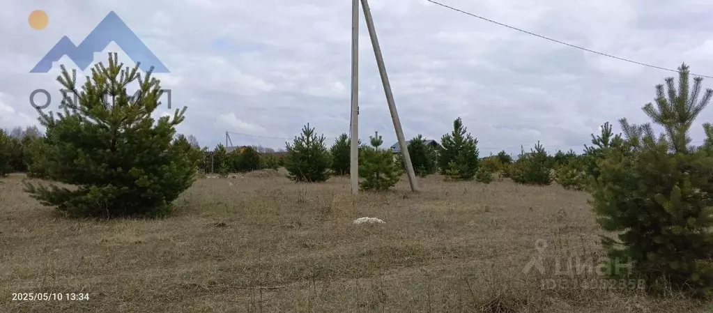Участок в Вологодская область, Вашкинский муниципальный округ, с. ... - Фото 1
