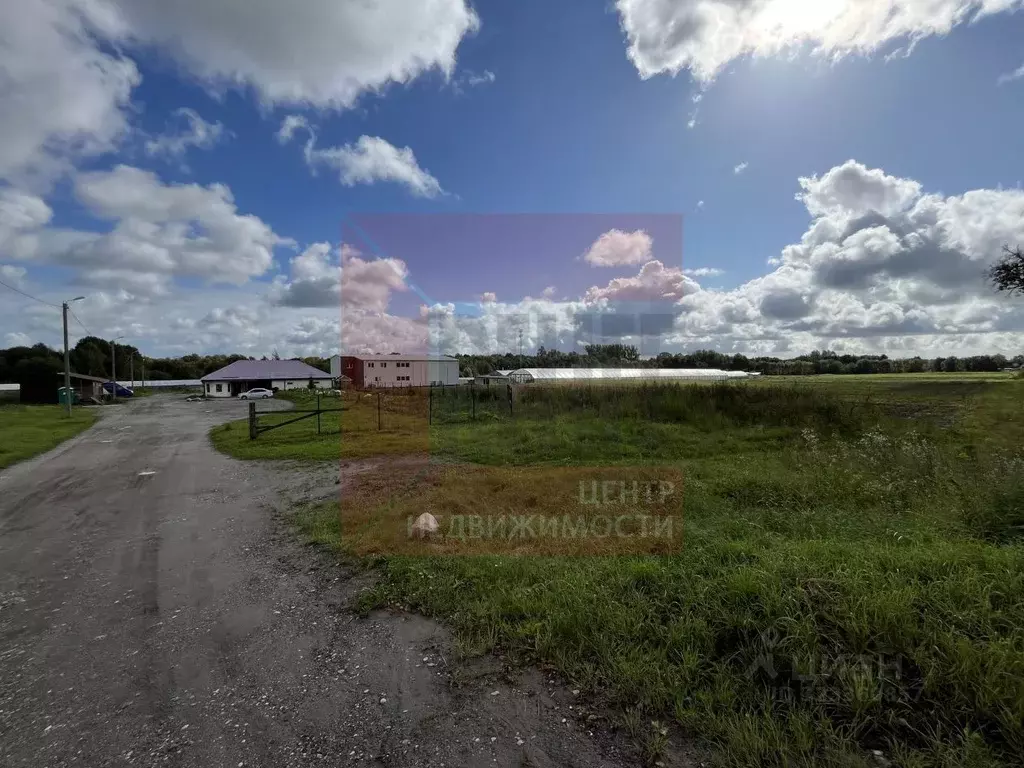 Склад в Калининградская область, Зеленоградский муниципальный округ, ... - Фото 1