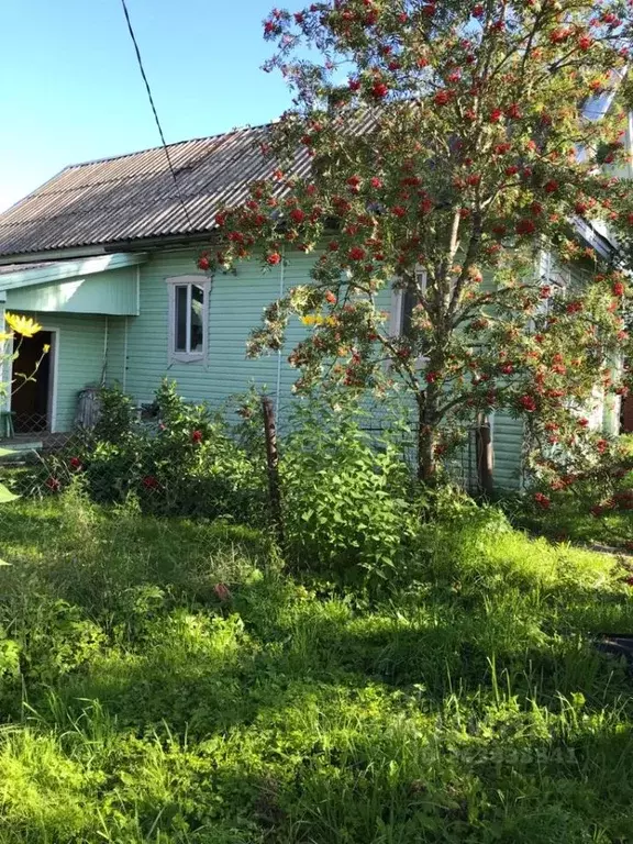 Дом в Новгородская область, Чудовский район, д. Деделево Прибрежный ... - Фото 1