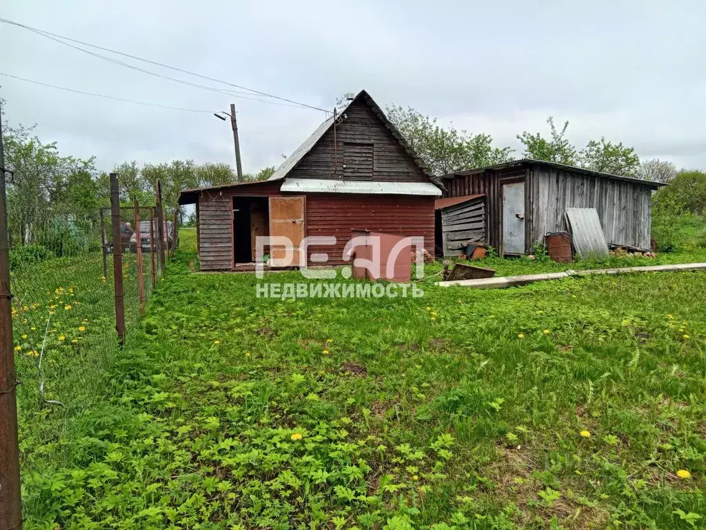 Участок в Ленинградская область, Волосовский район, Большеврудское ... - Фото 1