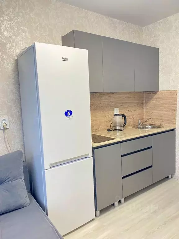 1-к кв. Пермский край, Пермский муниципальный округ, с. Фролы ул. ... - Фото 2