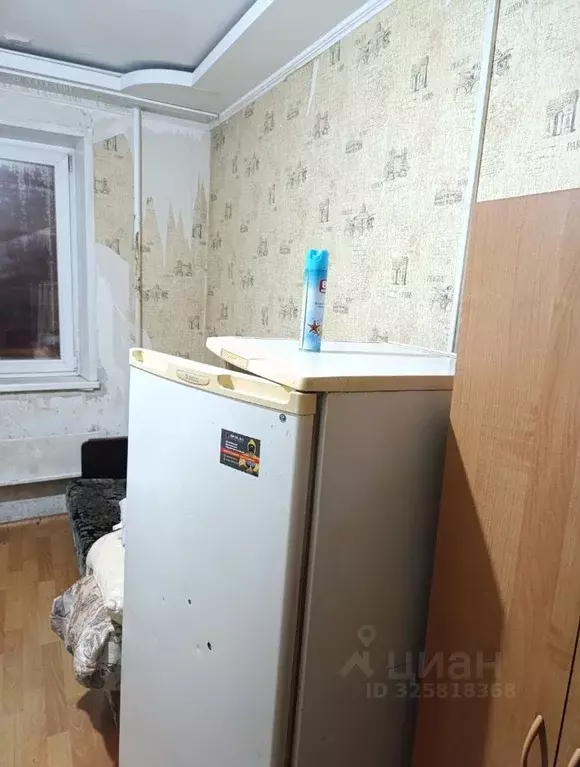 Студия Красноярский край, Красноярск ул. Калинина, 10 (13.0 м) - Фото 1