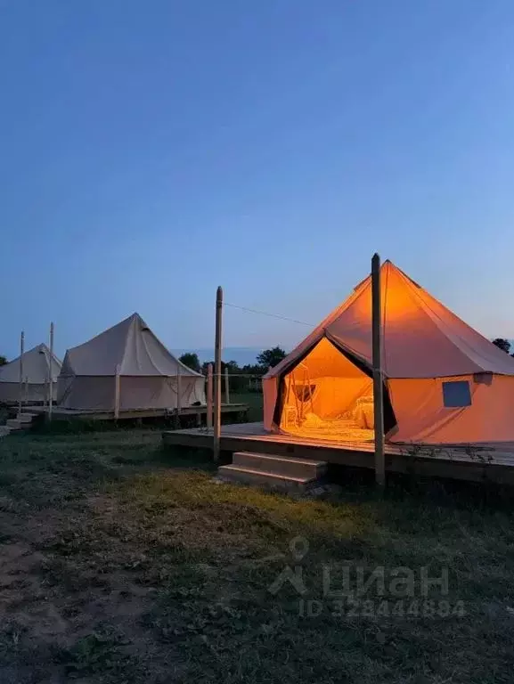 Дом в Самарская область, Шигонский район, с. Усолье ул. Лытанова (20 ... - Фото 1