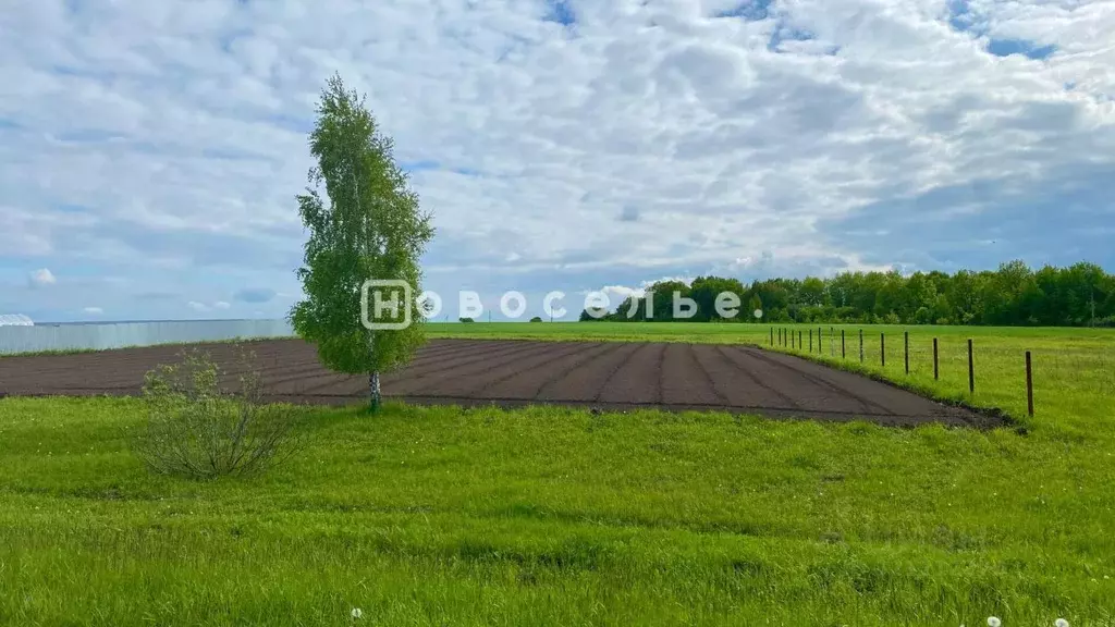 Участок в Рязанская область, Спасский район, Троицкое с/пос, д. ... - Фото 1