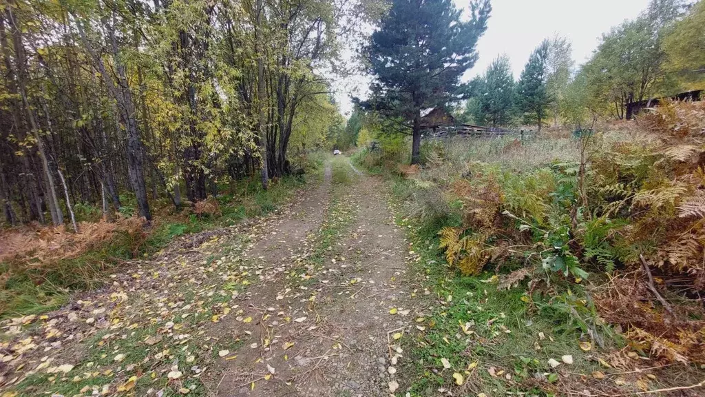 Участок в Иркутская область, Иркутский муниципальный округ, Пчелка СНТ ... - Фото 1