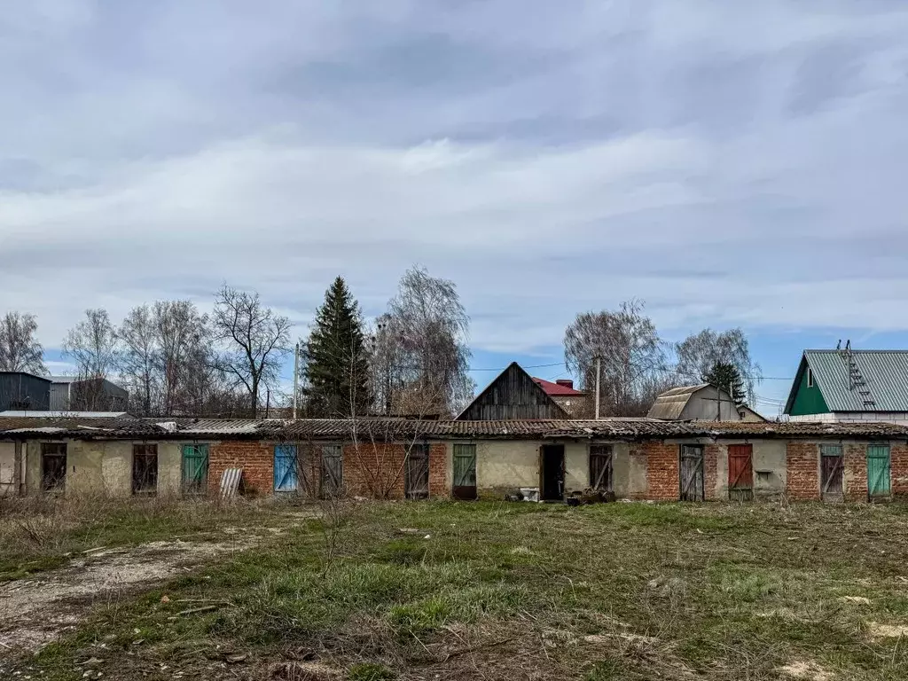 Помещение свободного назначения в Орловская область, Кромы пгт ул. К. ... - Фото 0