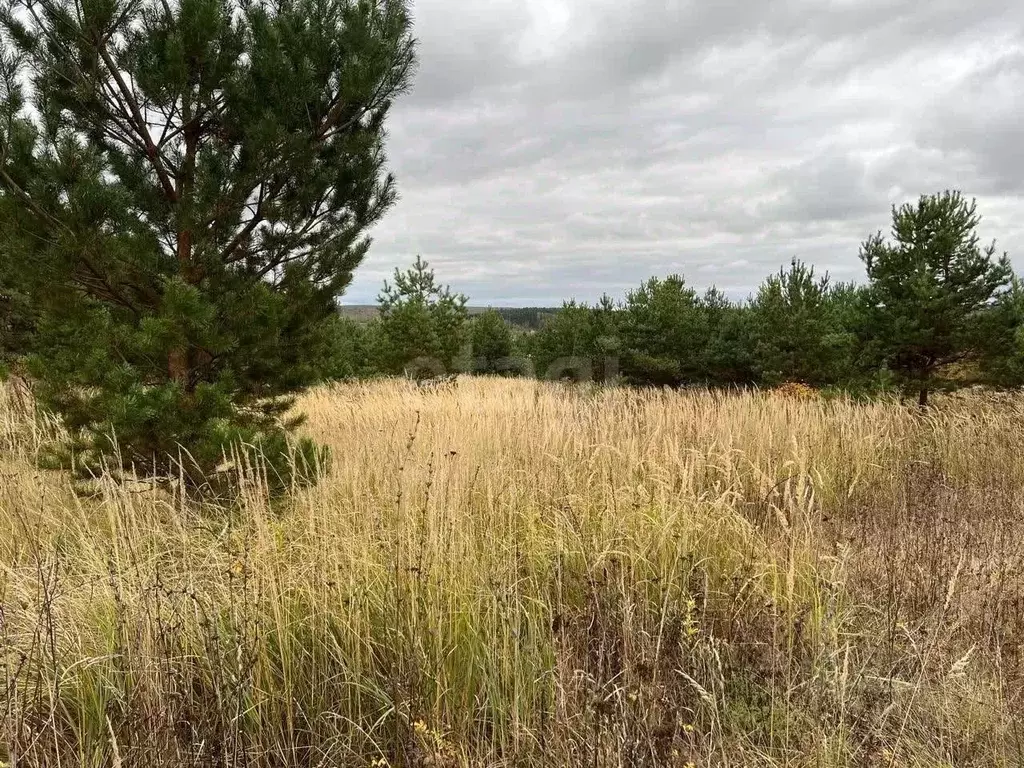 Участок в Тульская область, пос. Дубна ул. Свободы (10.0 сот.) - Фото 1