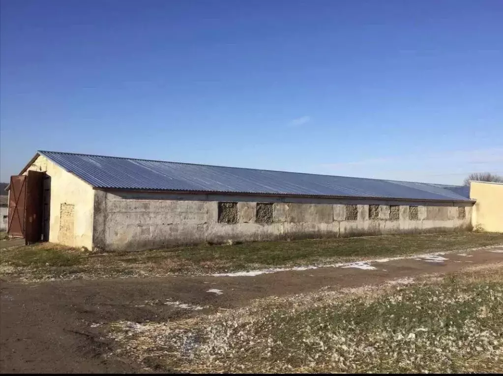 Склад в Татарстан, Верхнеуслонский район, с. Печищи  (698 м) - Фото 1