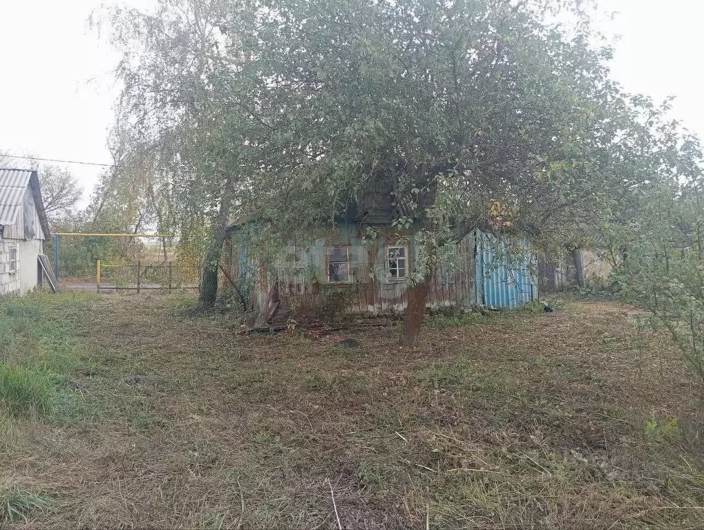 Дом в Белгородская область, Губкинский городской округ, с. Чуево ул. ... - Фото 1