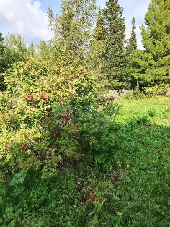 Дом в Красноярский край, Емельяновский муниципальный округ, Кедр-2 СНТ ... - Фото 1