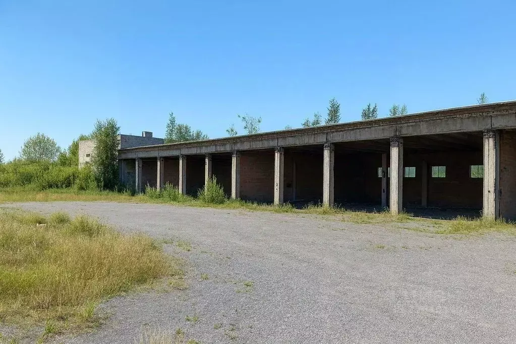 Склад в Санкт-Петербург, Санкт-Петербург, Пушкин Саперная ул., 63к4 ... - Фото 1