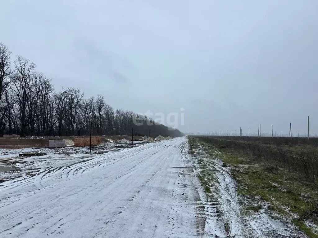 Участок в Ростовская область, Мясниковский район, Краснокрымское ... - Фото 0