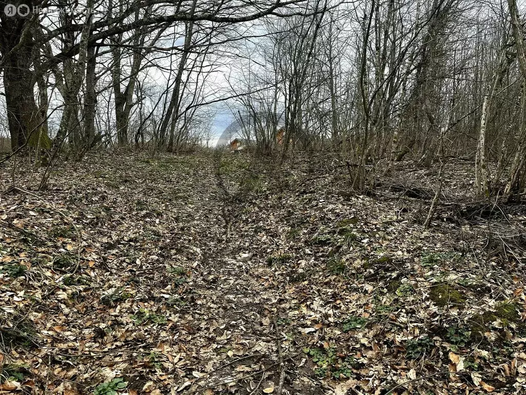 Участок в Апшеронский район, посёлок городского типа Нефтегорск (25 м) - Фото 2