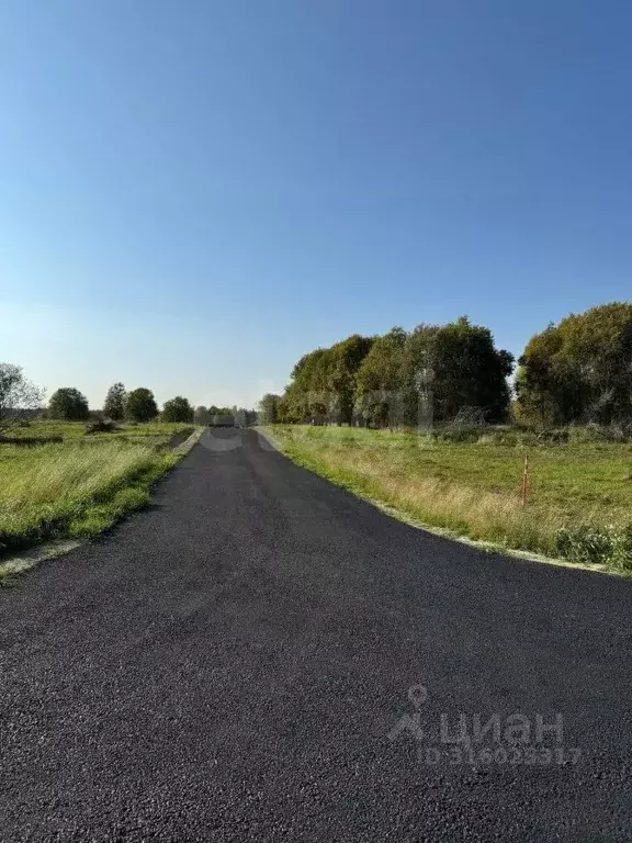 Участок в Ленинградская область, Всеволожский район, Куйвозовское ... - Фото 0