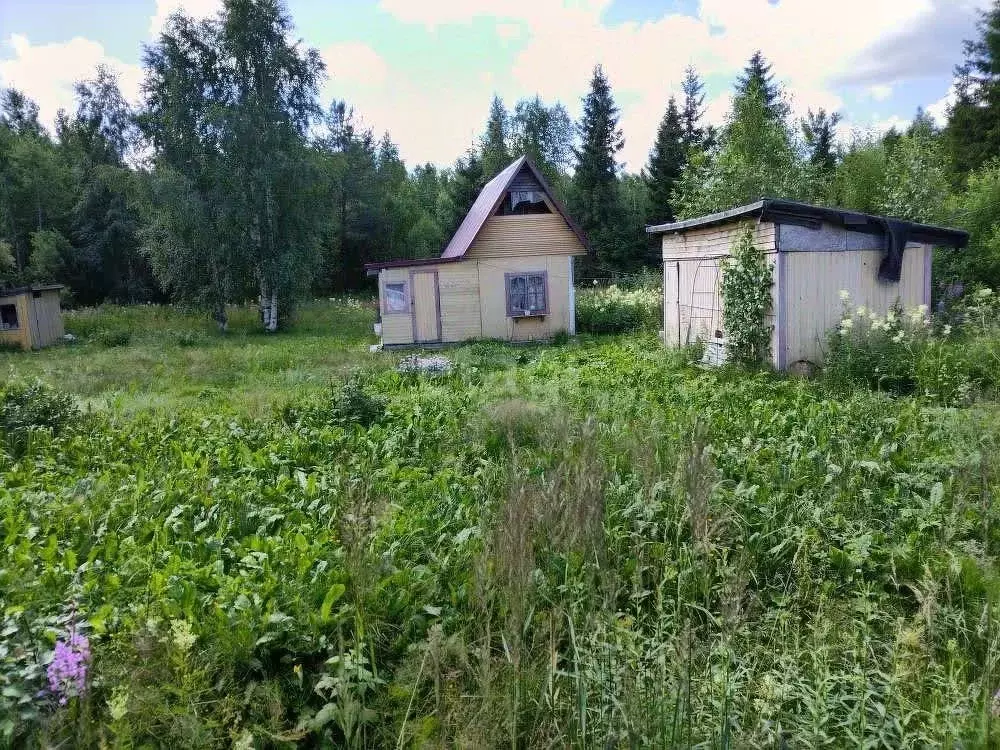 Участок в Карелия, Прионежский район, Деревянское с/пос, Онежец-4 СНТ  ... - Фото 0