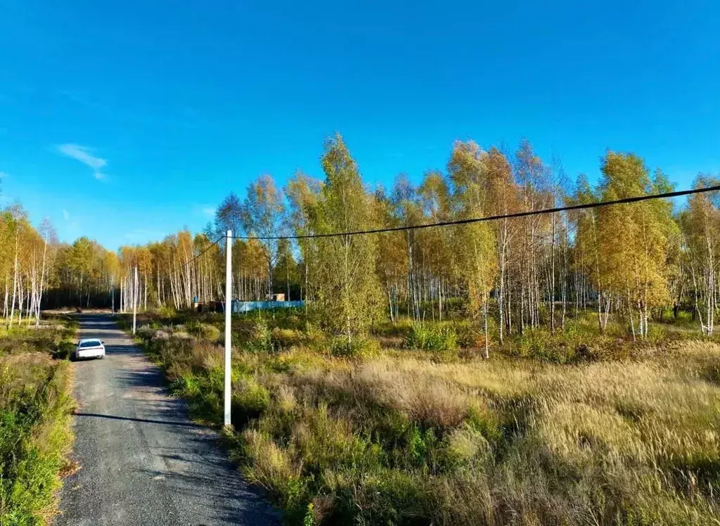 Участок в Московская область, Чехов городской округ, д. Дубинино 73 ... - Фото 0