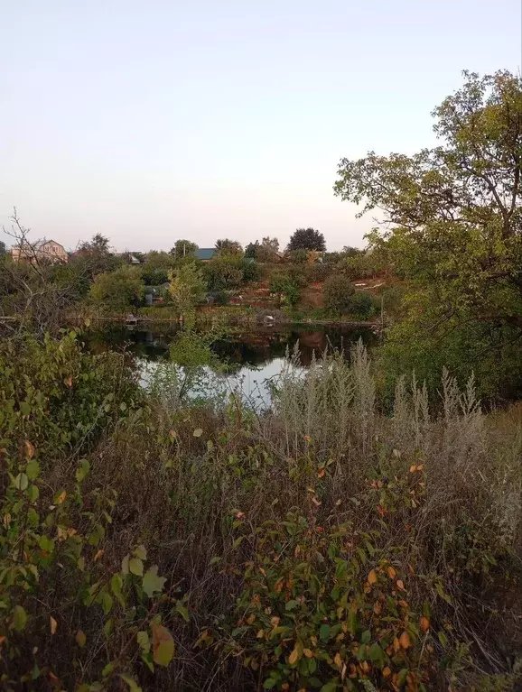 Участок, 6 сот., поселения (ижс) - Фото 1