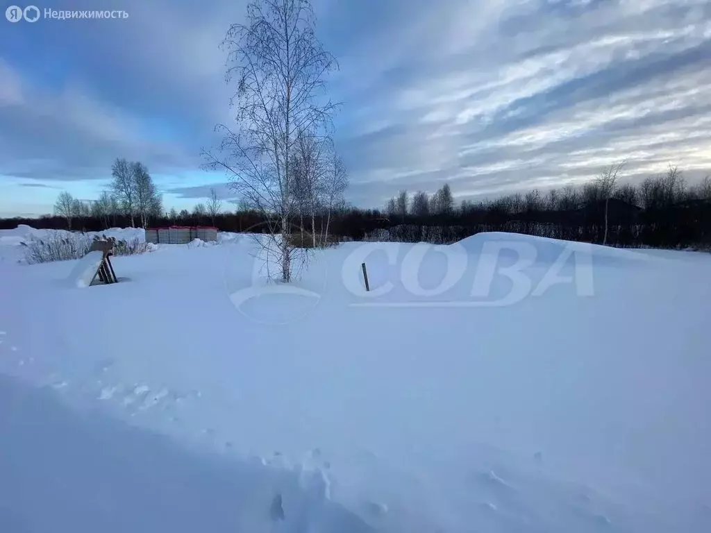 Участок в Тюмень, территория СОСН Солнечная Поляна, улица Поле Чудес ... - Фото 2