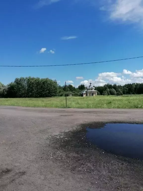 Участок в Ленинградская область, Лодейнопольский район, Алеховщинское ... - Фото 0