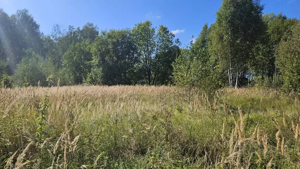 Участок в Московская область, Домодедово городской округ, д. Бехтеево, ... - Фото 1