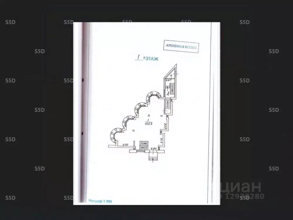 Помещение свободного назначения в Москва просп. Мира, 26С2 (278 м) - Фото 2