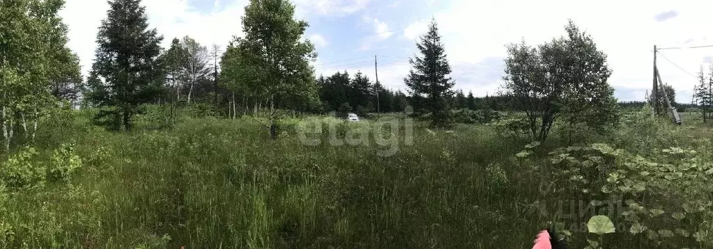 Участок в Сахалинская область, Южно-Сахалинск городской округ, с. ... - Фото 0