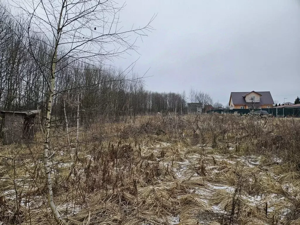 Участок в Москва № 100 кв-л,  (6.0 сот.) - Фото 2