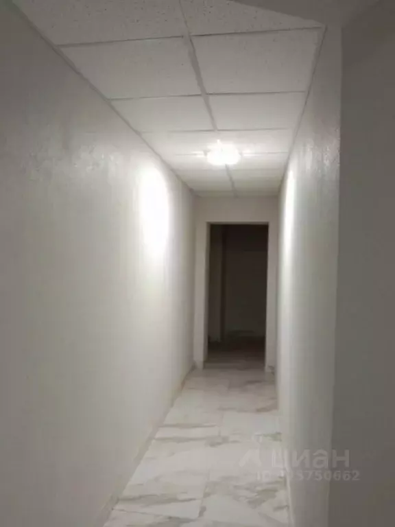 Помещение свободного назначения в Москва Новорязанская ул., 31/7С5 (20 ... - Фото 2