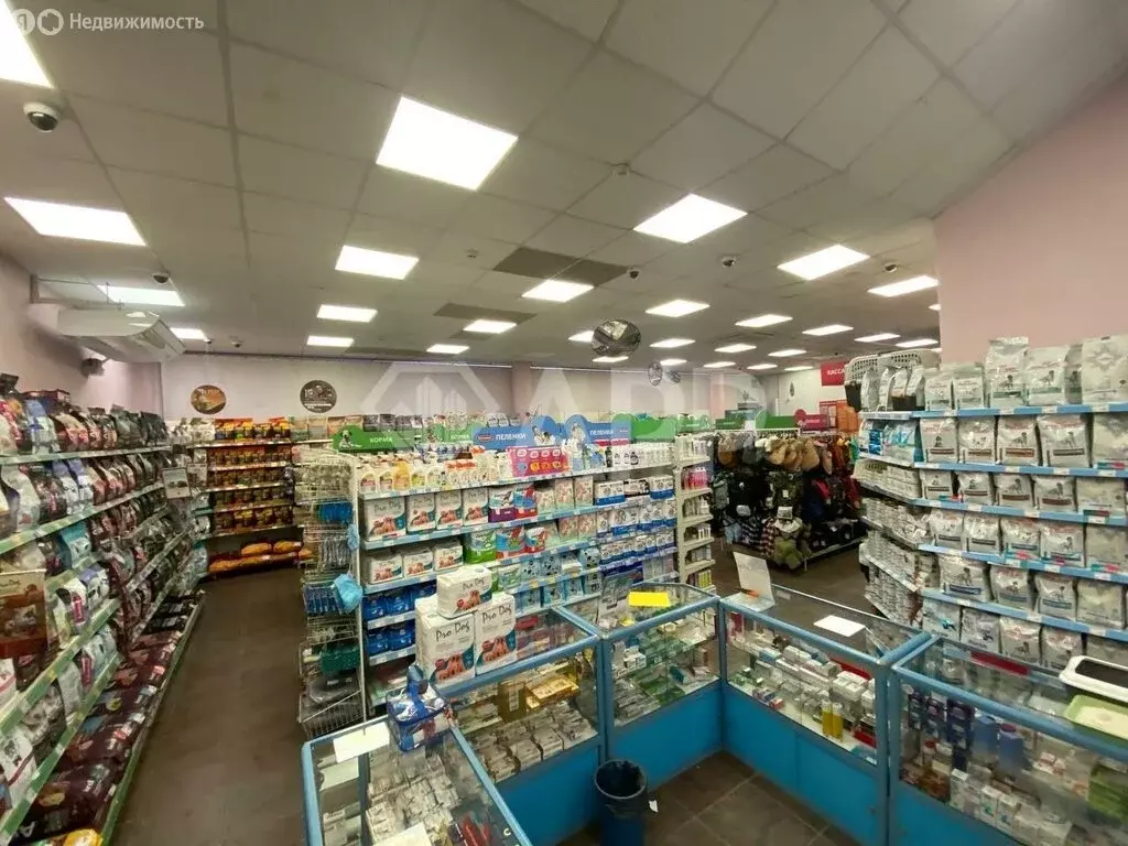 Помещение свободного назначения (289 м) - Фото 2