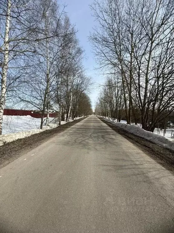 Участок в Московская область, Подольск городской округ, Пузиково кп 77 ... - Фото 1