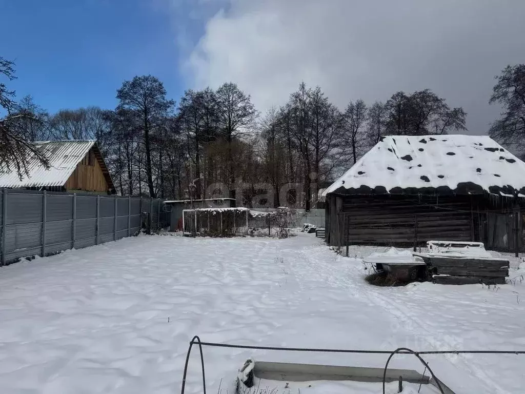 Участок в Брянская область, Брянский район, Новодарковичское с/пос, с. ... - Фото 1