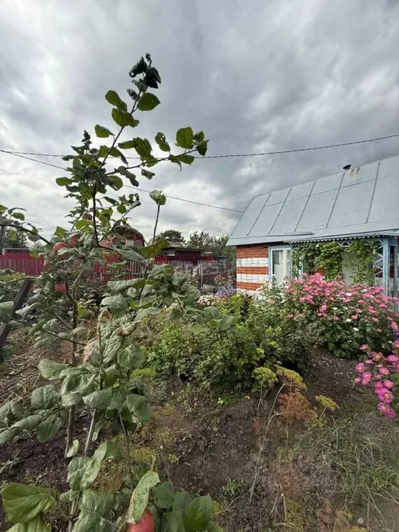 Дом в Тюменская область, Тюмень Строитель-3 СНТ, ул. Солнечная, 77 (15 ... - Фото 2