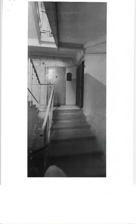 Свободной планировки кв. Воронежская область, Воронеж ул. Остужева, 44 ... - Фото 2