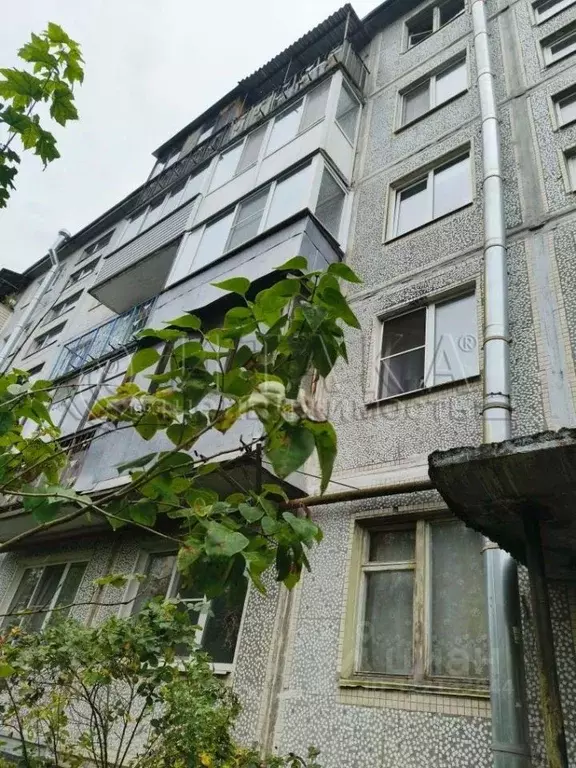 2-к кв. Ленинградская область, Коммунар г. Гатчинский муниципальный ... - Фото 1