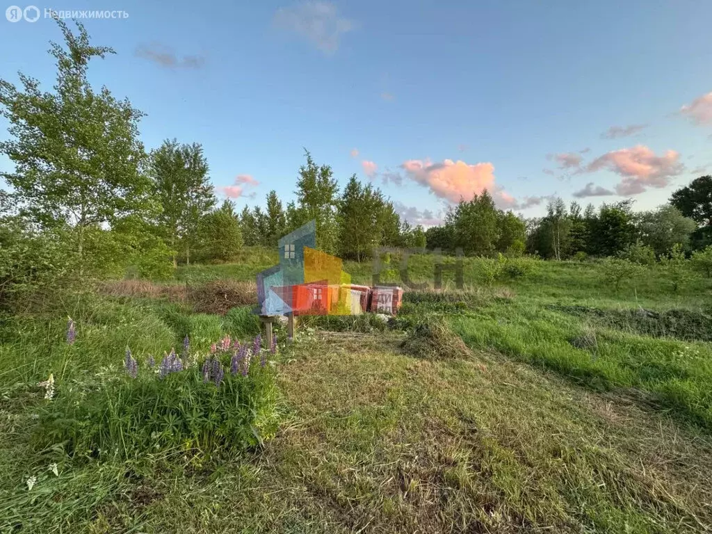 Участок в Тула, СНТ Ветеран, 1-й проезд (9 м) - Фото 1