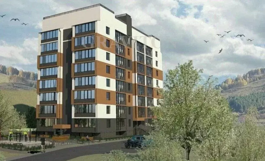 Студия Алтай, Горно-Алтайск ул. Петра Сухова, 14/2 (33.0 м) - Фото 1