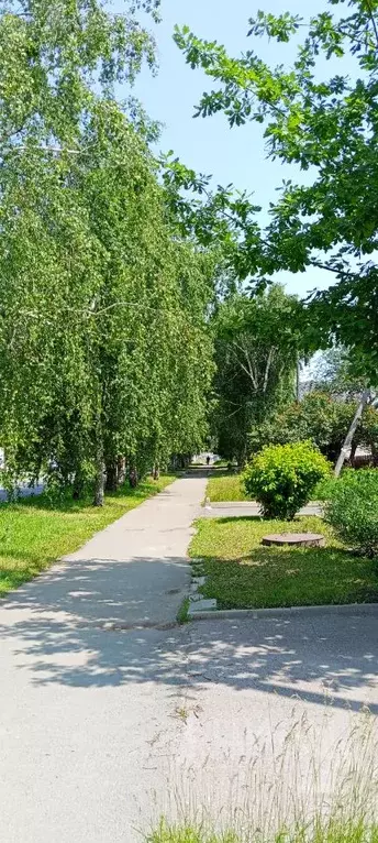 Дом в Алтайский край, Барнаул Северо-Западная ул. (52 м) - Фото 1
