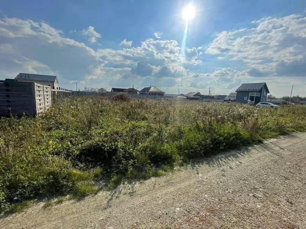 Участок в Курганская область, Кетовский муниципальный округ, д. Белый ... - Фото 2