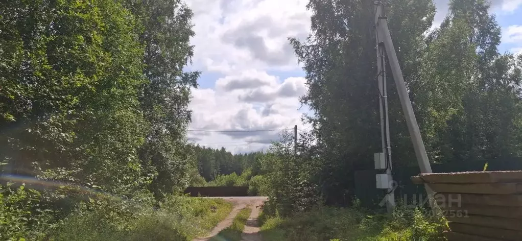 Участок в Новгородская область, Маловишерское городское поселение, д. ... - Фото 2